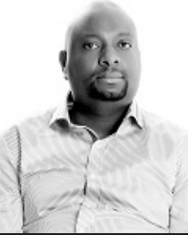 Ngwedi Mabilo, Non-Executive Director at Ndzinga Capital
